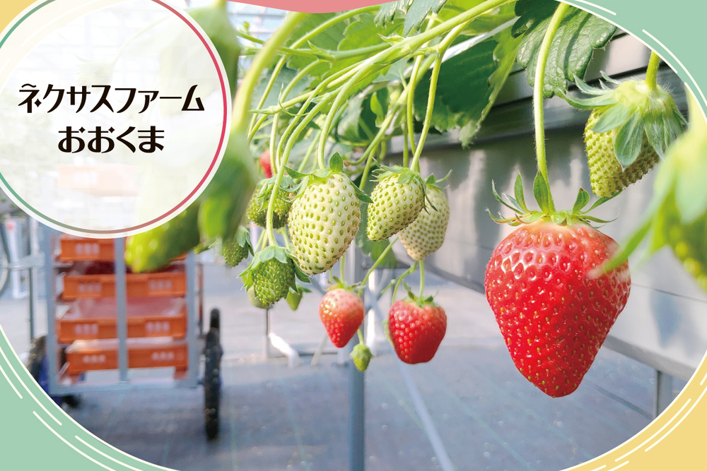 ネクサスファームおおくま　取材ページ｜大熊町の企業